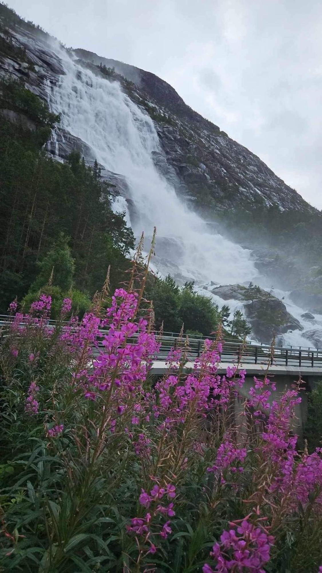 Villa Hytto Horre Esterno foto